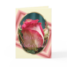  koraal Roos2 met dubbele kleuren - bij elke geleg