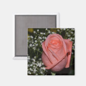 Koraal Roos-005 magneet (Voorkant / Achterkant)