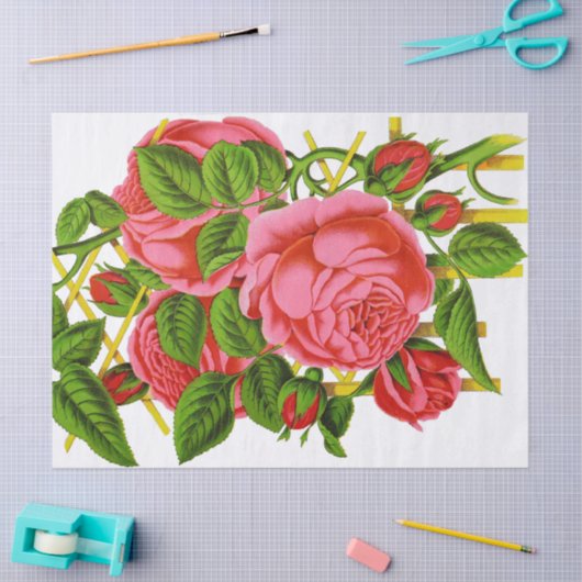 Koraal Roos Afdrukprobleem Tissuepapier (Craft)