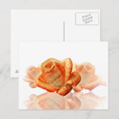 Koraal Roos bloesem met plattegrond Briefkaart (Voorkant / Achterkant)