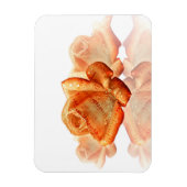 Koraal Roos bloesem met plattegrond Magneet (Verticaal)