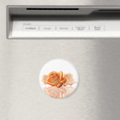 Koraal Roos bloesem met plattegrond Magneet (Insitu (Vaatwasser))