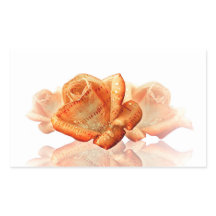 Koraal Roos bloesem met plattegrond