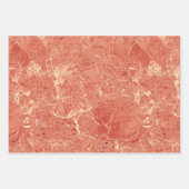 Koraal Roos Gold Red Marble Texture Inpakpapier Vel (Voorkant 3)