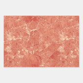 Koraal Roos Gold Red Marble Texture Inpakpapier Vel (Voorkant 2)