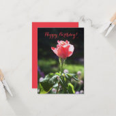 Koraal Roos, Happy Birthday!, je past kaart aan (Voorkant / Achterkant in situ)
