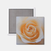 Koraal Roos Magneet (Voorkant / Achterkant)