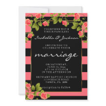 Koraal Roos op koraal- en zwarte strepen