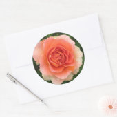 Koraal Roos Sticker (Envelop)