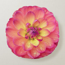 Koraal roze geel dahlia zinnia bloem