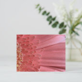 koraal roze Gerbera Daisy Briefkaart (Staand voorkant)