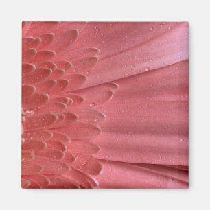 koraal roze Gerbera Daisy Magneet