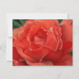 Koraal Roze Roos Bloem Kunst Notitiekaart Set Notitiekaartje