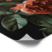 Koraal Rozen Bloemen Art Print Poster (Hoek)