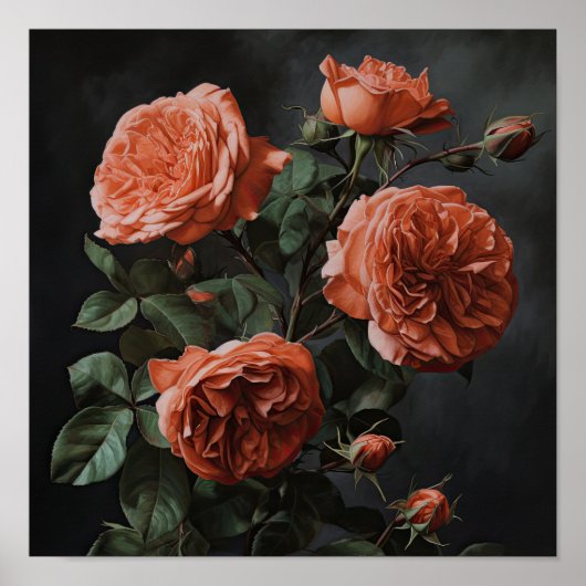 Koraal Rozen Bloemen Art Print Poster (Voorkant)