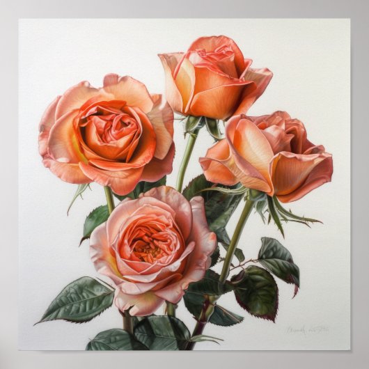 Koraal Rozen Bloemen Art Print Poster (Voorkant)