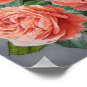 Koraal Rozen Bloemen Art Print Poster (Hoek)