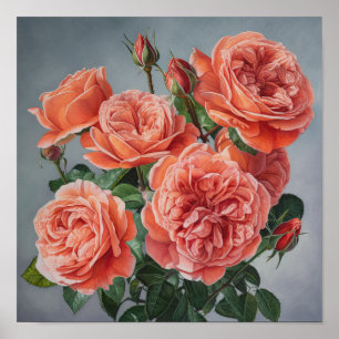 Koraal Rozen Bloemen Art Print Poster