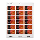 Koraal Sinaasappel Hibiscus Flower Etiket (Full Sheet)