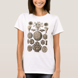 Koraal T-shirt