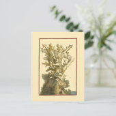 Koraal van het Zee Briefkaart (Staand voorkant)