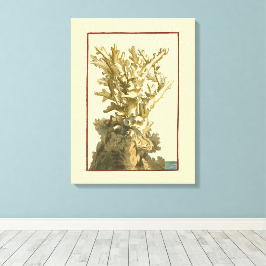 Koraal van het Zee Canvas Afdruk (Insitu (Houten vloer))