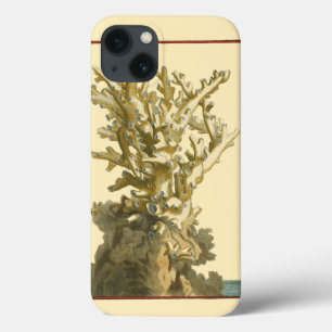 Koraal van het Zee iPhone 13 Hoesje