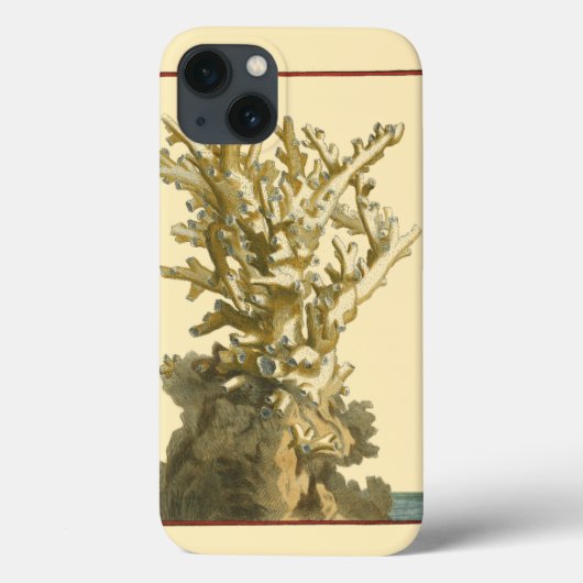 Koraal van het Zee Case-Mate iPhone Case (Achterkant)