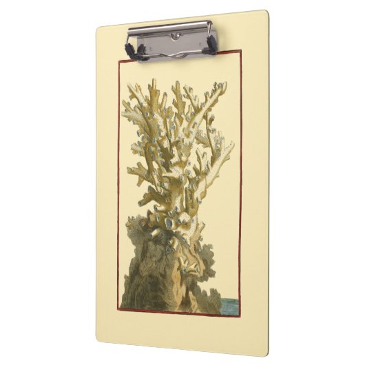 Koraal van het Zee Klembord (Links)