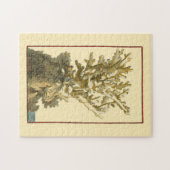 Koraal van het Zee Legpuzzel (Horizontaal)