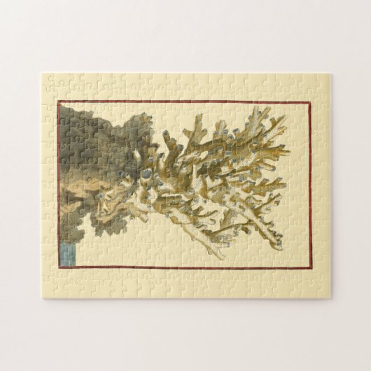 Koraal van het Zee Legpuzzel (Horizontaal)