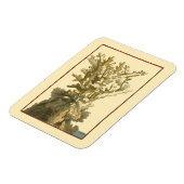 Koraal van het Zee Magneet (Linkerzijde)