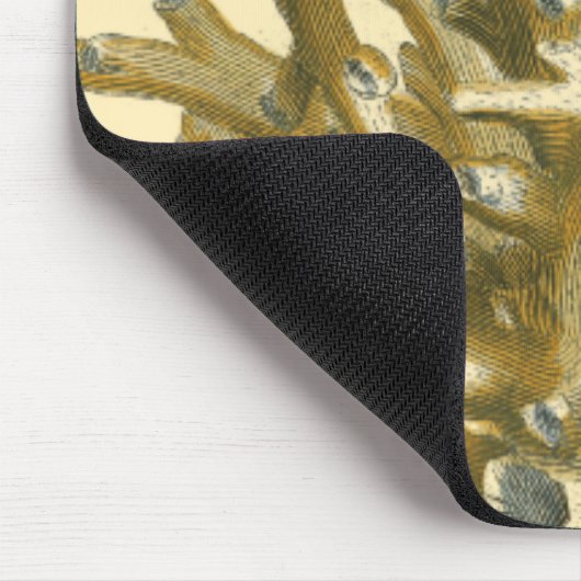 Koraal van het Zee Muismat (Hoek)