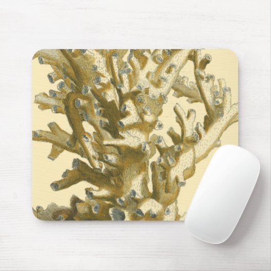 Koraal van het Zee Muismat (Met muis)