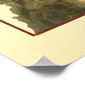 Koraal van het Zee Poster (Hoek)