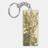 Koraal van het Zee Sleutelhanger (Voorkant Links)