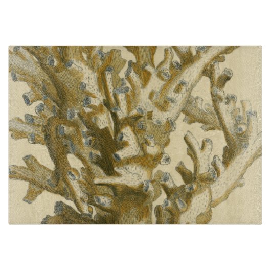 Koraal van het Zee Snijplank (Voorkant)