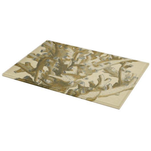 Koraal van het Zee Snijplank (Hoek)