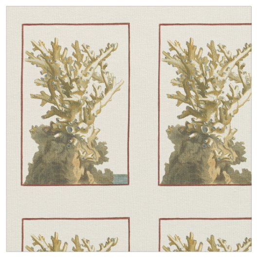 Koraal van het Zee Stof (Close Up)