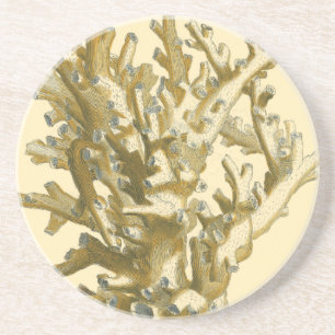 Koraal van het Zee Zandsteen Onderzetter