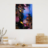 Koraal Zee - Tropische vis en rif - Poster (Keuken)