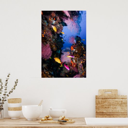 Koraal Zee - Tropische vis en rif - Poster (Keuken)