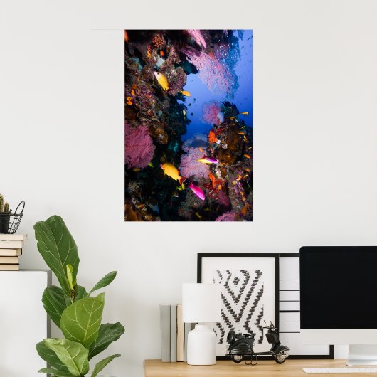 Koraal Zee - Tropische vis en rif - Poster (Thuiskantoor)