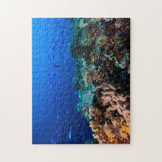 Koraal Zee - Tropische vis en rif - puzzle puzzel Legpuzzel (Verticaal)