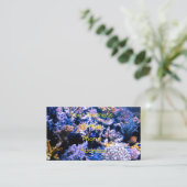 Koraal Zee Visitekaartje (Staand voorkant)