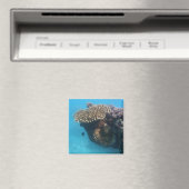 Koraal Zeegezicht Magneet (Insitu (Vaatwasser))