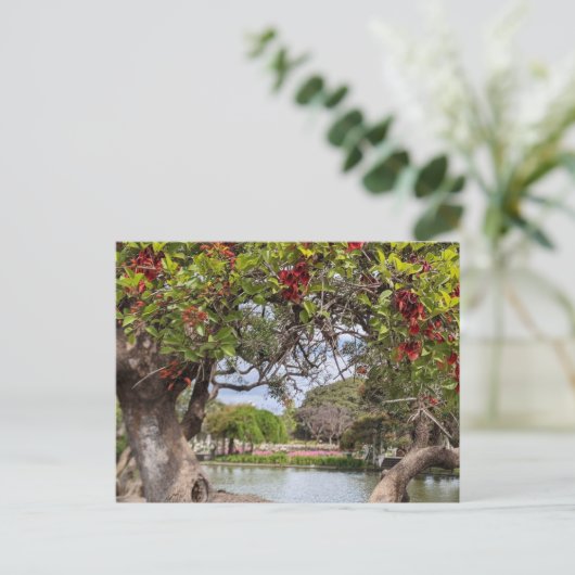 Koraalboom in het park briefkaart (Staand voorkant)