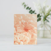 koraalchrysant briefkaart (Staand voorkant)