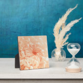 koraalchrysant fotoplaat (Insitu)