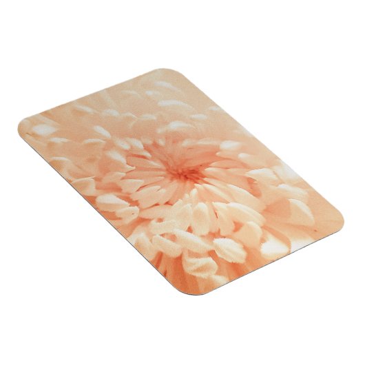 koraalchrysant magneet (Rechterzijde)